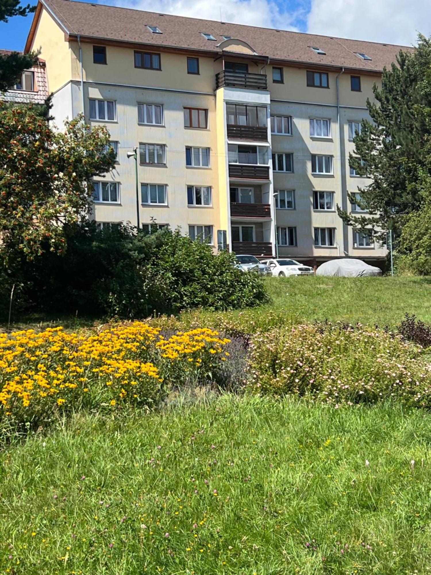 Apartment Tatranska Strba Exterior foto